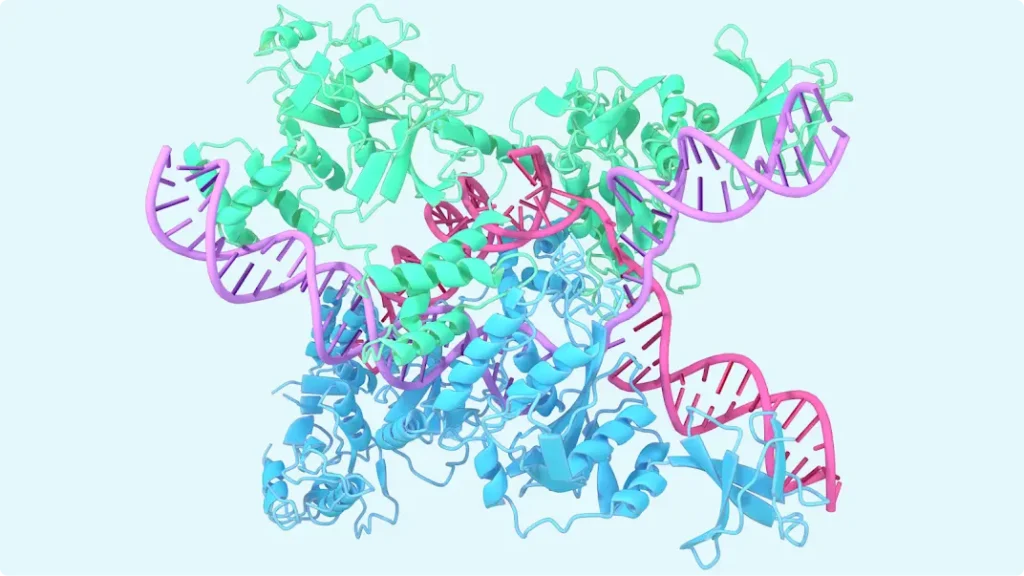 Rappresentazione 3D della struttura del DNA analizzata da AlphaFold 3, con colori vivaci che mostrano diverse parti della molecola